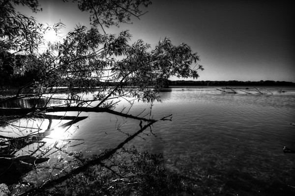 Master Black & White Photography: How HDR Elevates Monochrome Mastery