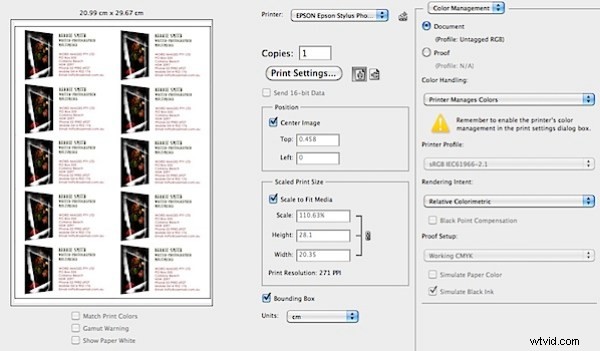 Expert Review: Epson Stylus Photo R3000 Pigment Inkjet Printer – Power & Precision