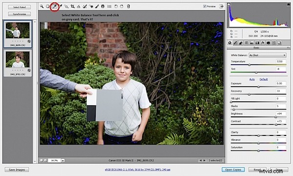 Achieve Perfect White Balance in Seconds with a Grey Card