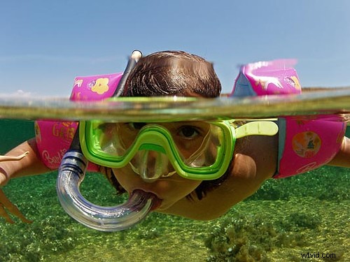 15 Stunning Underwater Photographs to Inspire Your Photography Adventures