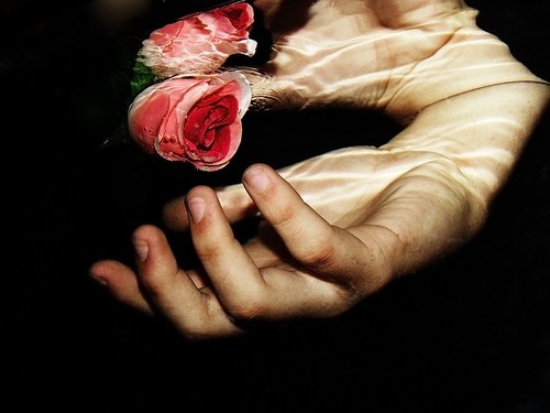 15 Stunning Underwater Photographs to Inspire Your Photography Adventures