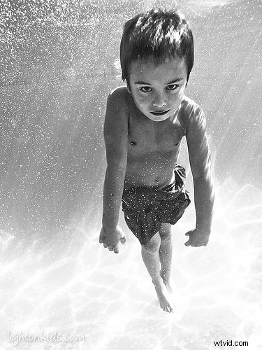 15 Stunning Underwater Photographs to Inspire Your Photography Adventures