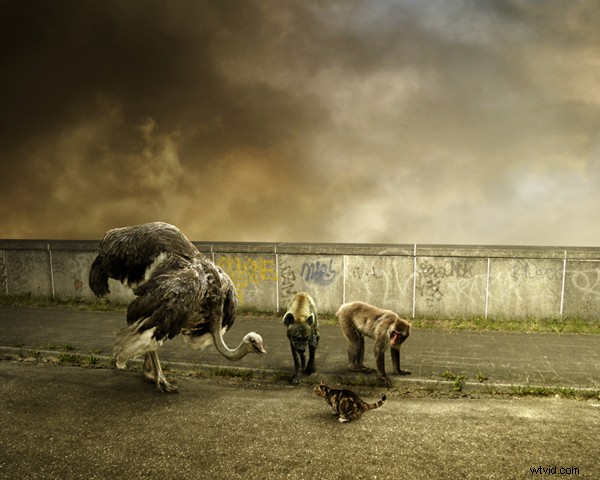 Discover Mattijn Franssen: Exploring His Captivating Fictional Photomontage Universe