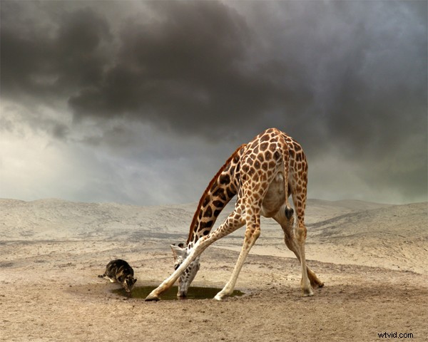 Discover Mattijn Franssen: Exploring His Captivating Fictional Photomontage Universe