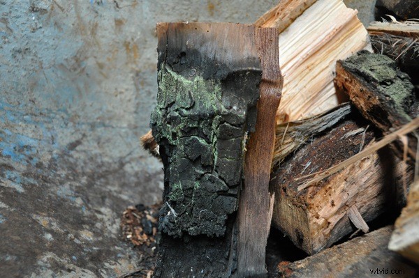 Live with Your Photos Before Deleting: A Photographer s Essential Advice