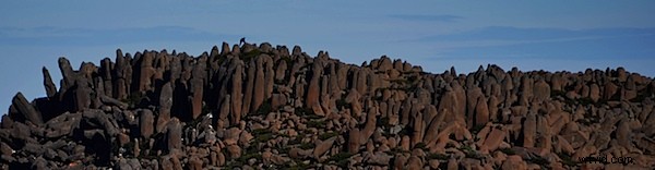 Live with Your Photos Before Deleting: A Photographer s Essential Advice