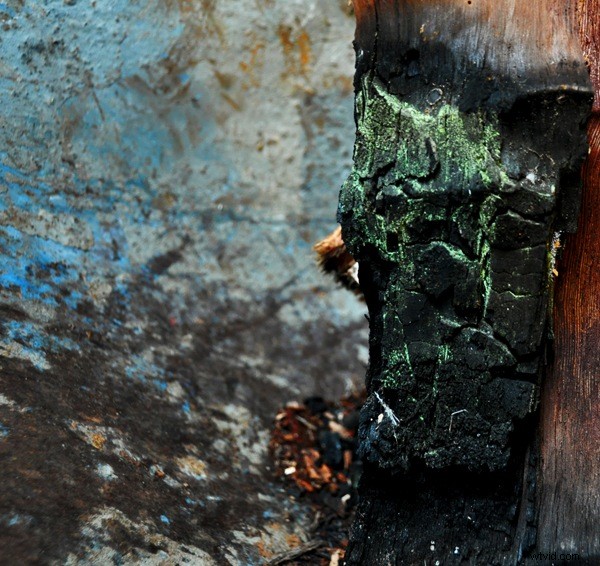 Live with Your Photos Before Deleting: A Photographer s Essential Advice