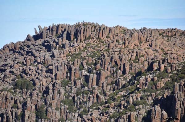 Live with Your Photos Before Deleting: A Photographer s Essential Advice