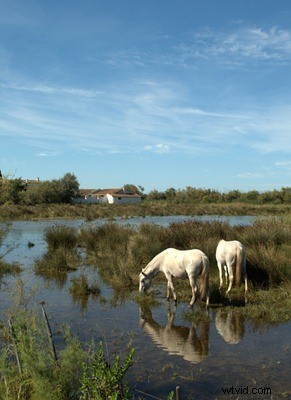Stunning France Travel Photography: Inspiration & Expert Tips