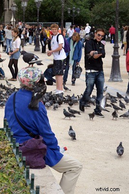 Stunning France Travel Photography: Inspiration & Expert Tips