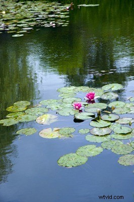 Stunning France Travel Photography: Inspiration & Expert Tips