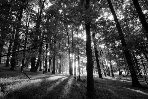 Spotlight on Scott Frederick: Mastering Urban Decay HDR Photography