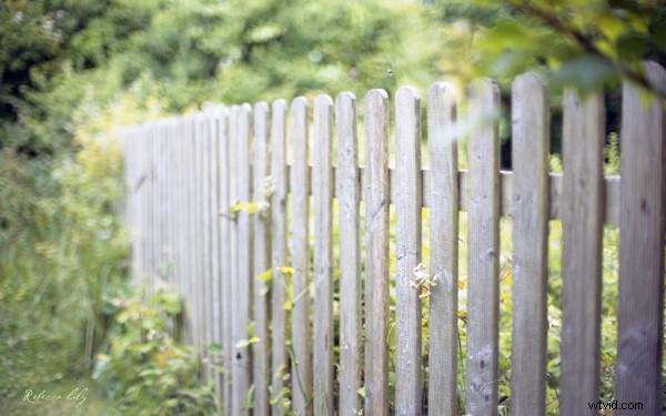 Film vs. Digital Photography: A Pro Wedding Shooter s Honest Comparison