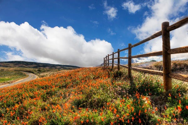 HDR Imaging Explained: Unlock Stunning Detail, Lighting & Color – Seeing is Believing!