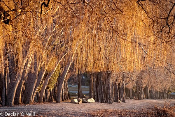 Master Landscape Photography: 10 Essential Pro Tips