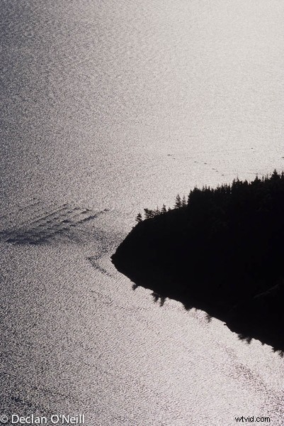 Master Landscape Photography: 10 Essential Pro Tips