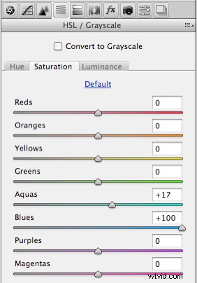 Expert Meerkat Photo Post-Processing Tutorial by Anette Mossbacher