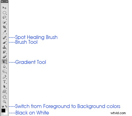Expert Meerkat Photo Post-Processing Tutorial by Anette Mossbacher