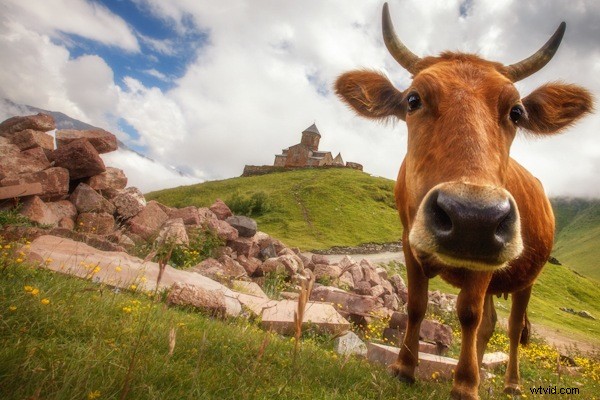 Essential Photography Gear for a Year-Long World Travel Adventure