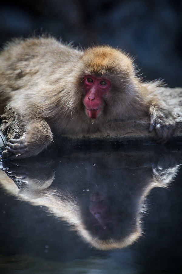 Essential Photography Gear for a Year-Long World Travel Adventure