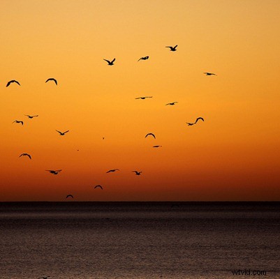 Stunning Spain Travel Photography: Inspiration and Tips from DPS Readers