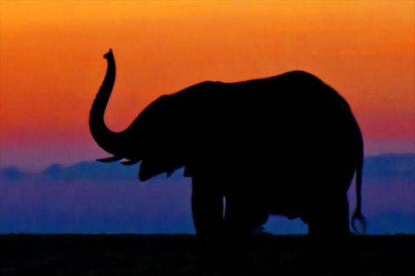 Kenya Travel Photography Inspiration: Stunning Wildlife and Savannah Captures