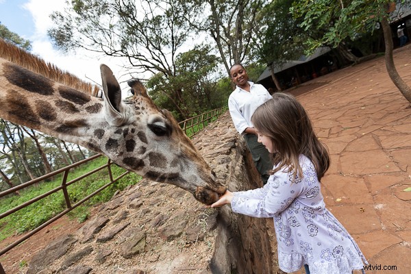 Kenya Travel Photography Inspiration: Stunning Wildlife and Savannah Captures