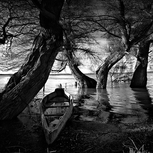 Bruno Mercier: Captivating Black & White Seascapes and Landscapes of Normandy