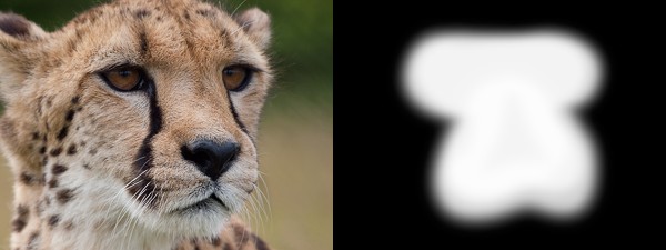 Why Shoot in RAW? Essential Benefits for Serious Photographers