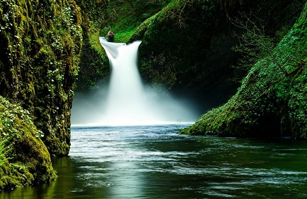 Beyond Vignettes: Master Dodging and Burning for Pro-Level Photo Editing