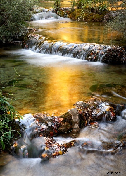 Harness Your Unique Perspective for Stunning Photography Compositions