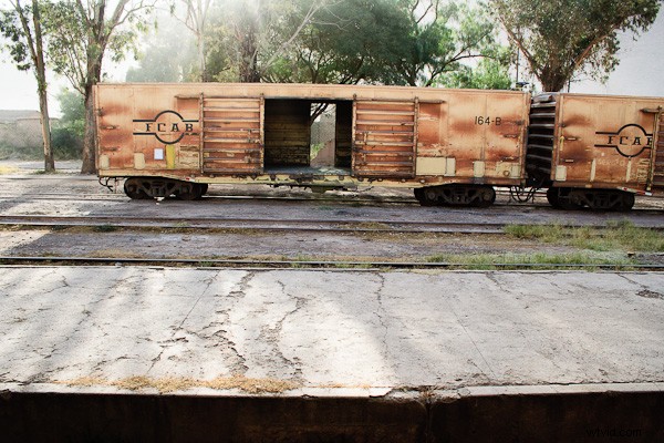 Why Lens Quality Matters Less Than You Think: Essential Insights for Photographers