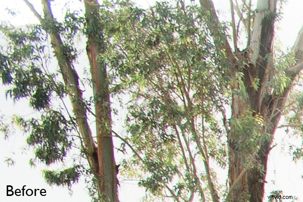 Why Lens Quality Matters Less Than You Think: Essential Insights for Photographers