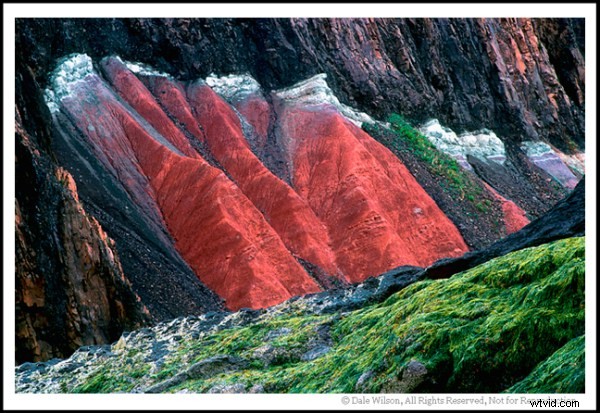 Learning to See, Part III: Mastering the Hues and Use of Color