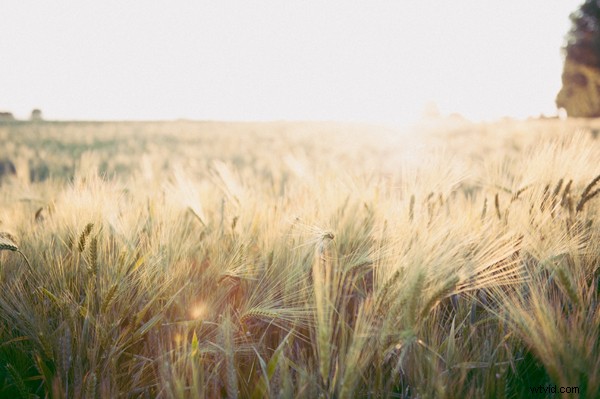 The Rise of Authenticity: A Key Trend in Modern Photography