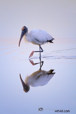 Capture Stunning Water Reflections: Expert Photography Guide