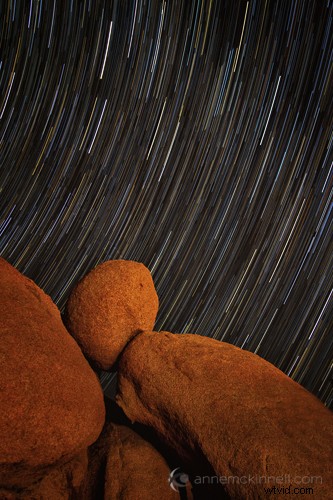 Capture Stunning Star Trails: Expert Tips for Night Sky Photography