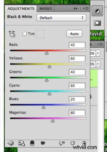 Master Black & White Image Conversion in Photoshop: Expert Guide