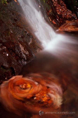 Why Your Camera Sees the World Differently Than Your Eyes