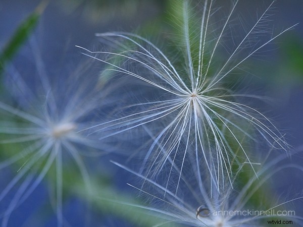 Why Your Camera Sees the World Differently Than Your Eyes