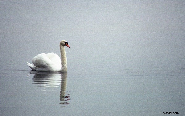 Holistic Photography Explained: Cultivate Artistic Vision and Technical Mastery