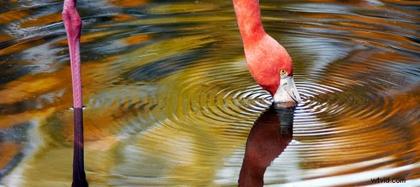 Holistic Photography Explained: Cultivate Artistic Vision and Technical Mastery