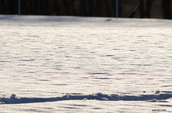 Craft Custom Textures: Transform Your Photos into Stunning Artistic Masterpieces