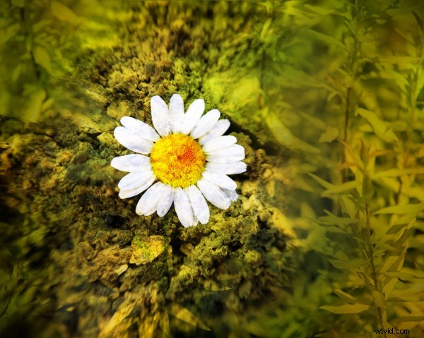 Craft Custom Textures: Transform Your Photos into Stunning Artistic Masterpieces