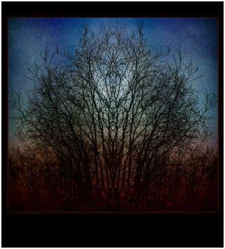 Transform Your Photos into Stunning Fine Art Painterly Masterpieces