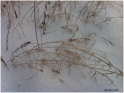 Transform Your Photos into Stunning Fine Art Painterly Masterpieces