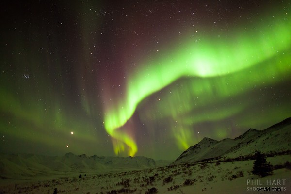 Yukon s Northern Lights: Photographer s Behind-the-Scenes Adventure