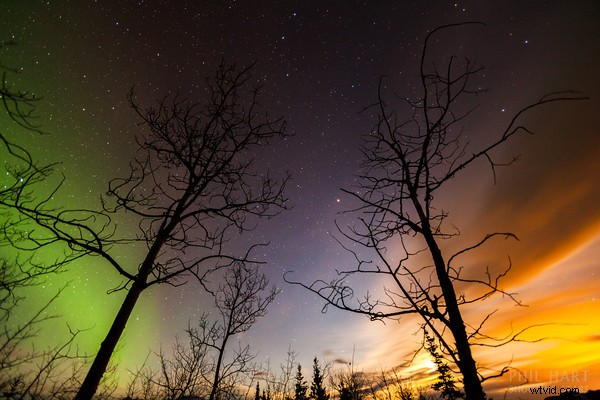 Yukon s Northern Lights: Photographer s Behind-the-Scenes Adventure