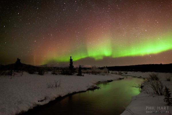 Yukon s Northern Lights: Photographer s Behind-the-Scenes Adventure