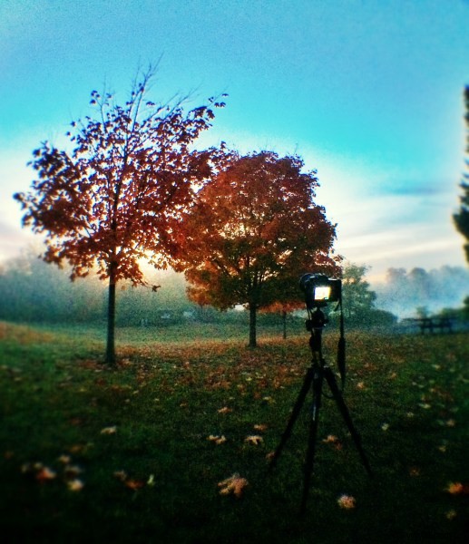 Ultimate Guide: How to Prepare for Stunning Landscape Photography Shoots Before You Go